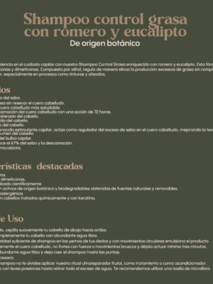 Captura-de-pantalla-2024-01-22-a-las-9.46.52 p.-m-600×602